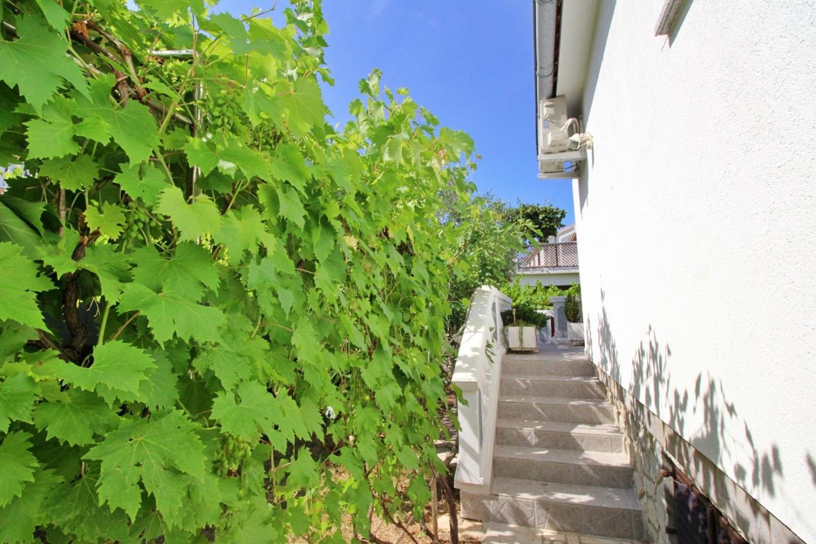Apartments Zlatica Šilo Eksteriør bilde